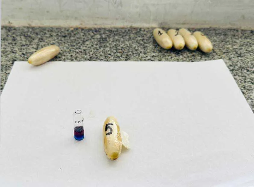 ingieren_adosan_y_transportan_338_capsulas_con_cocaina_2