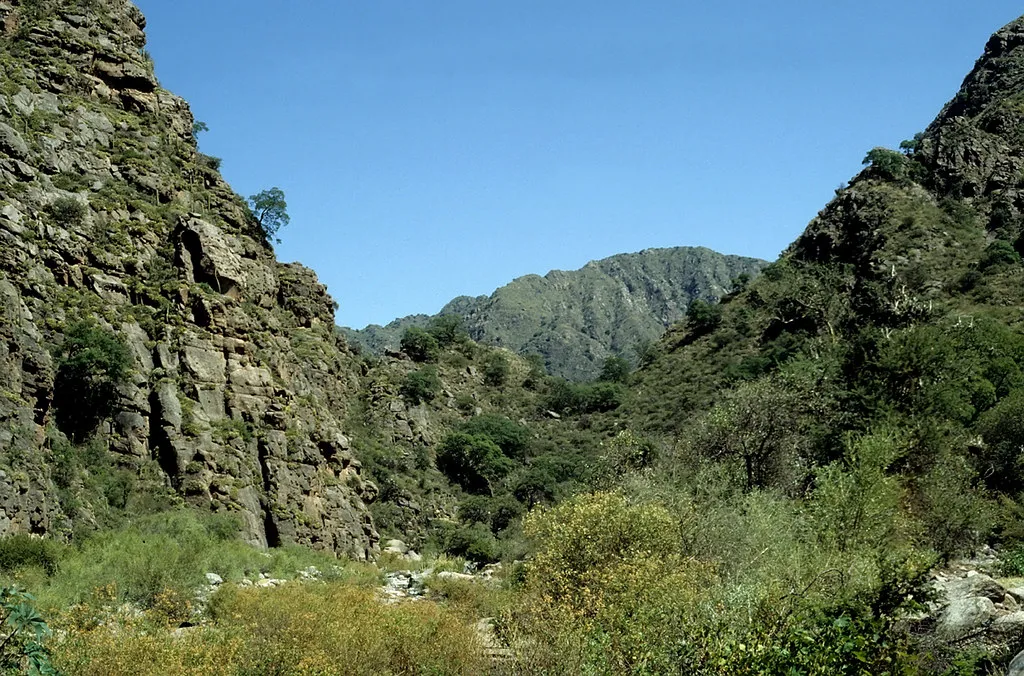 4105826282_d206a08d3a_b