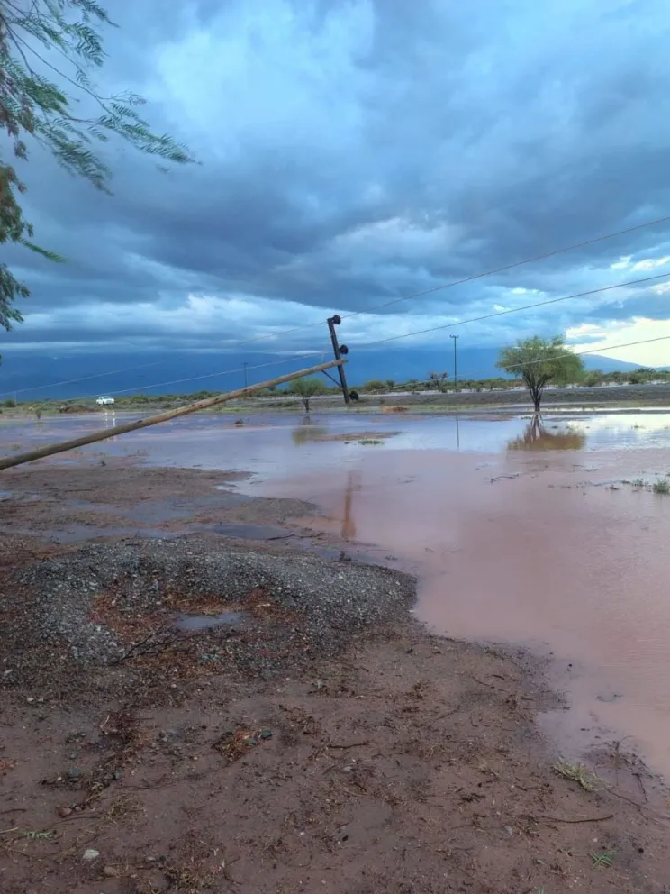 md - 2025-12-25T202810.087