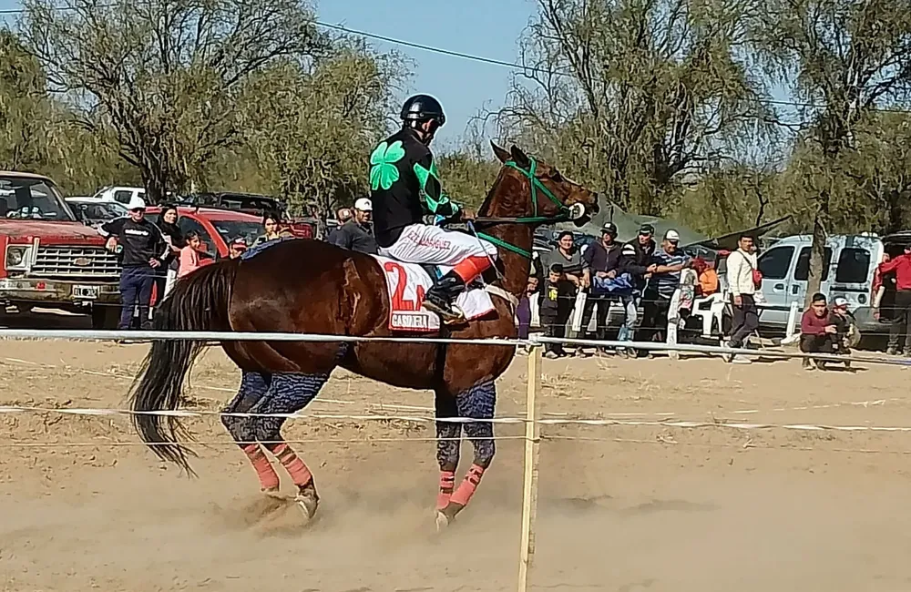 369451118_3703739739949692_4267164608172111098_n (1)