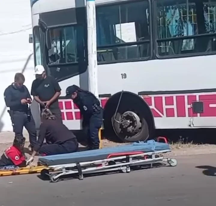 WhatsApp-Image-2025-04-20-at-18.13.43