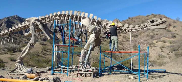 FB_IMG_1717975219123