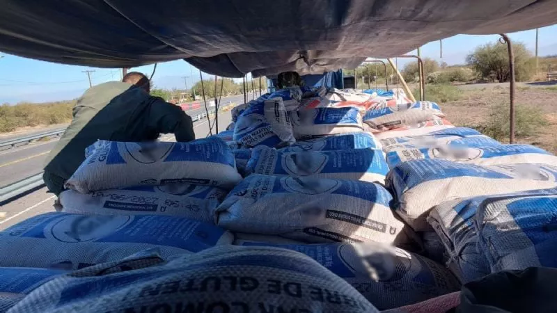 f800x450-339161_390607_5050