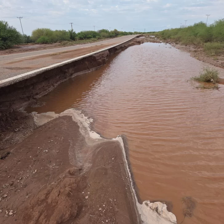 rutas-crecidas-Ruta-141-3101-3-728x728