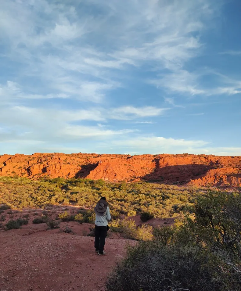 whatsapp-image-2025-03-14-at-004605-1jpeg