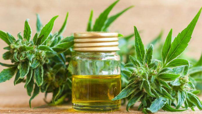 Aceite-de-cannabis-696x392