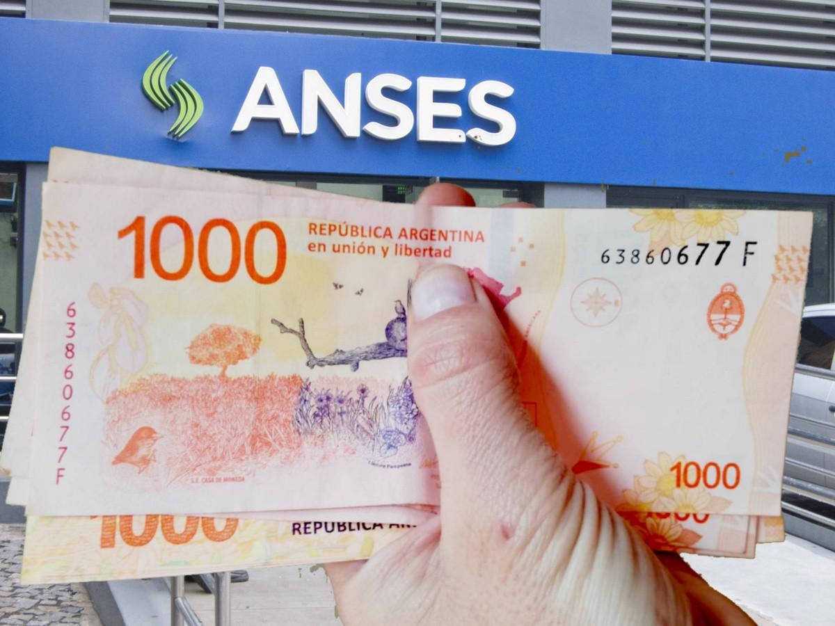 anses_-_marcela_casarino_04.jpg_675828847