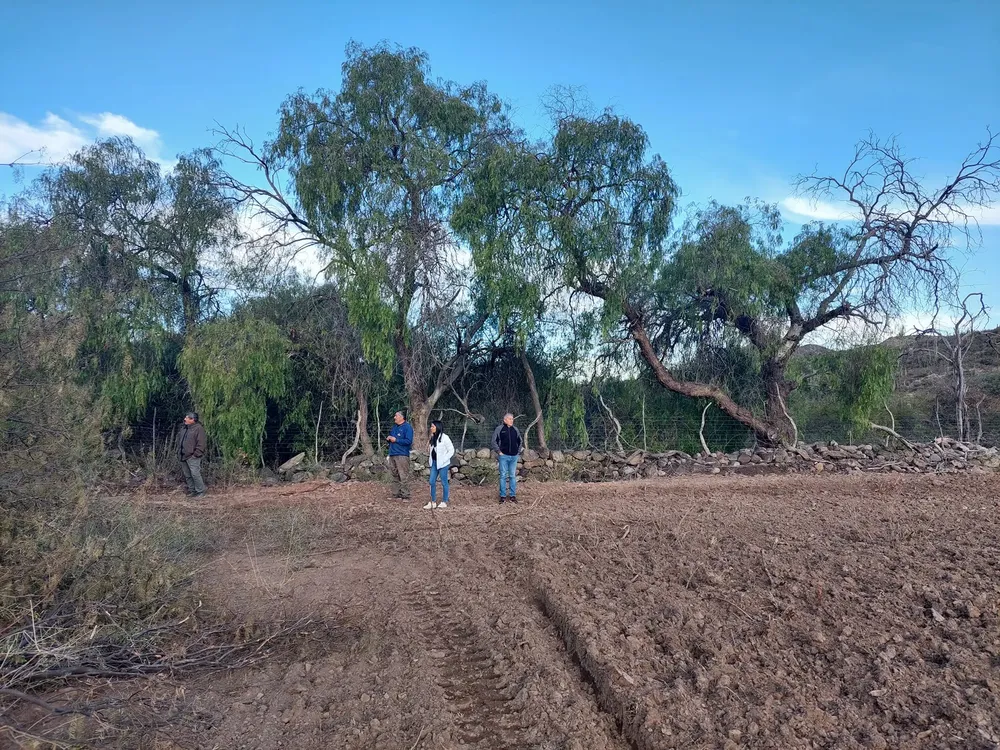 354022217_654684993353127_4219914325694472944_n