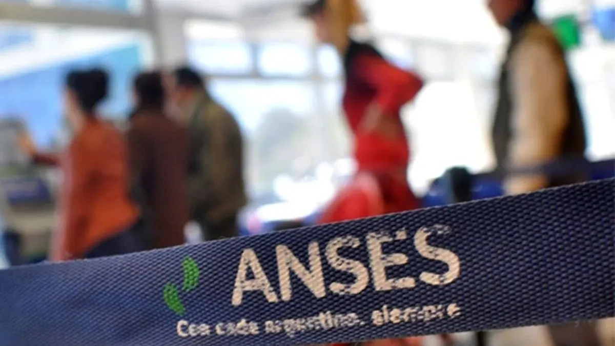 20190805-anses-00-14981387jpgwebp