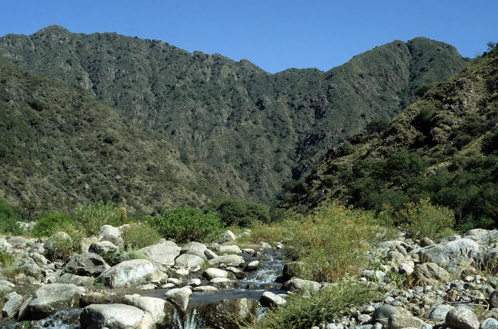 1198059339_1a13ed7585_b