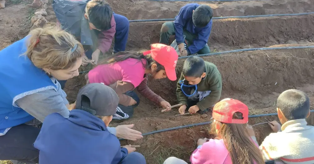 351126842_101659066289172_758207546304200385_n