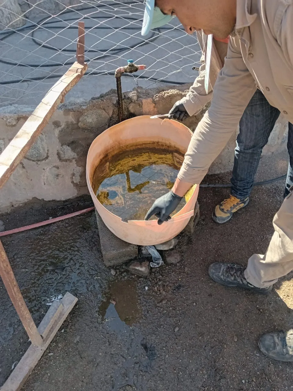 464387743_965883145566642_1743025247541991765_n