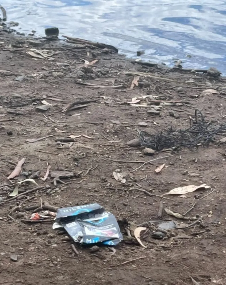 md - 2025-12-29T151106.756