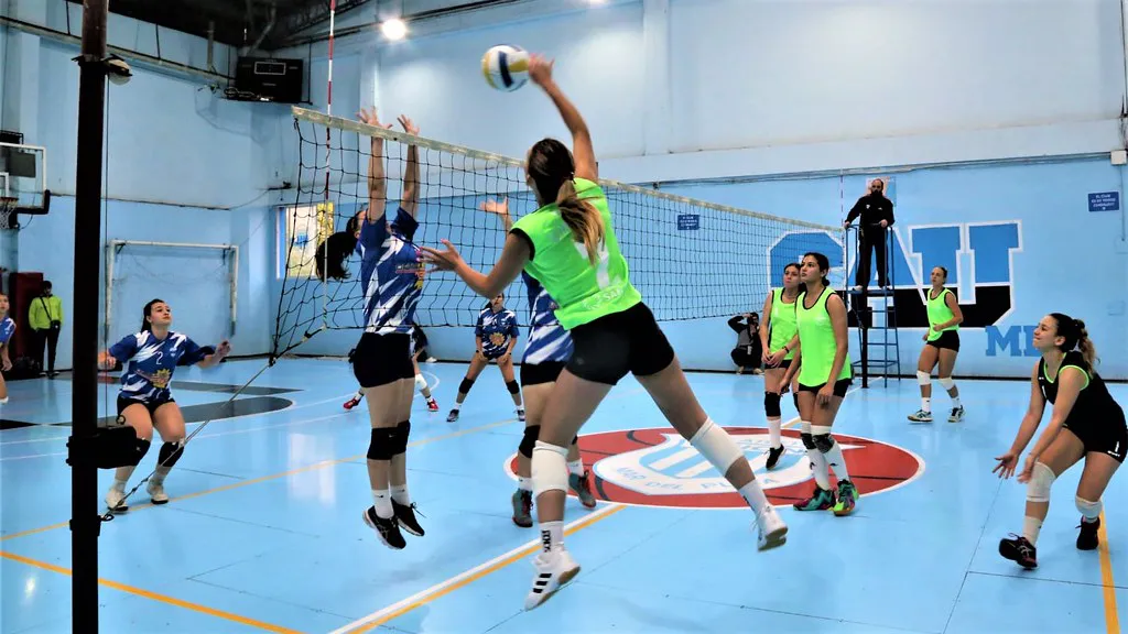 52459357150_253a2debf2_b