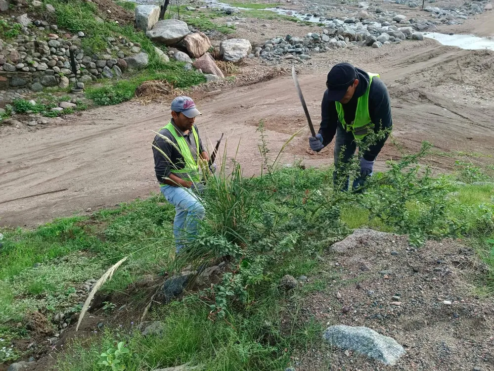 616826783_1319042446917375_7766707649490959991_n