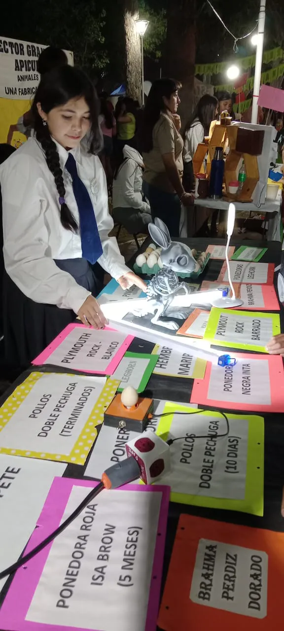 1558eae7-22ae-45ba-80ca-3adb03f5ec2f