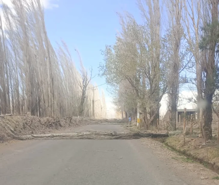 IMG-20250926-WA0058-728x615