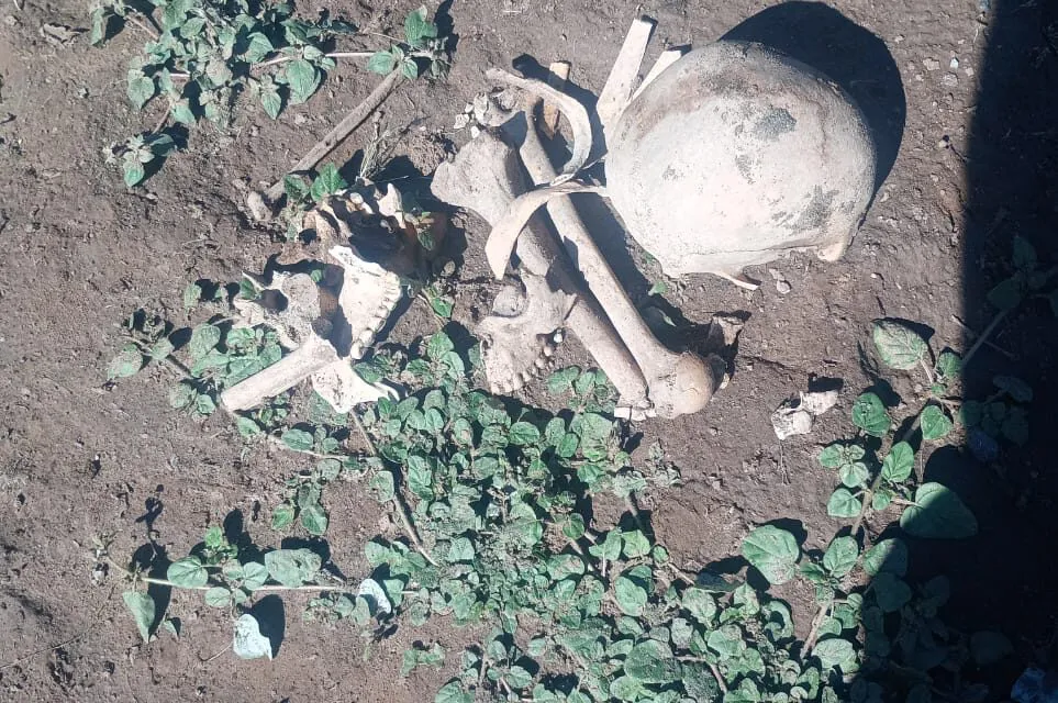 IMG-20250303-WA0030-963x640