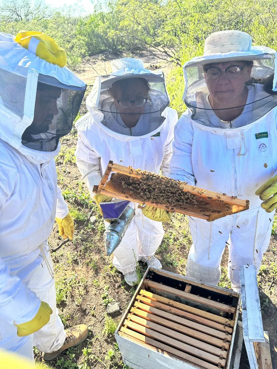 469181299_993328616155428_7986021188630783276_n