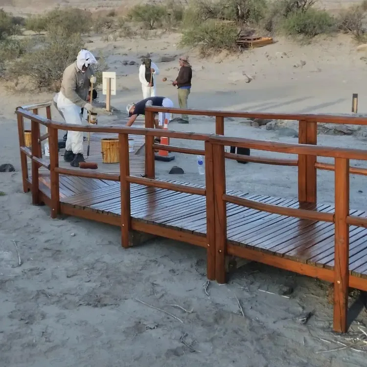 468401474_982986783872507_3459465500321576371_n