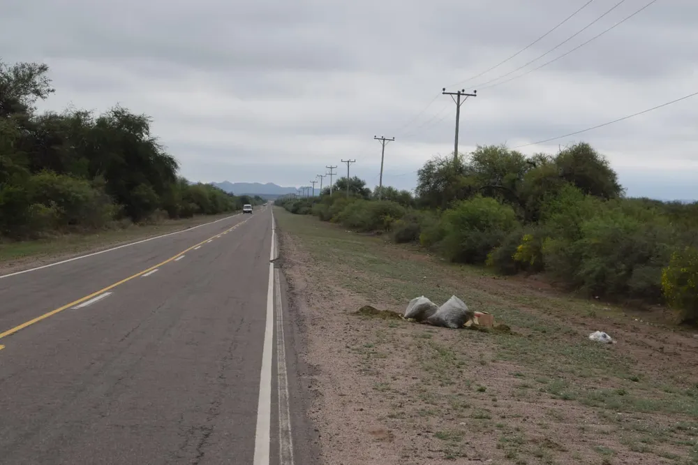 418483434_779966047491687_875860823163543658_n