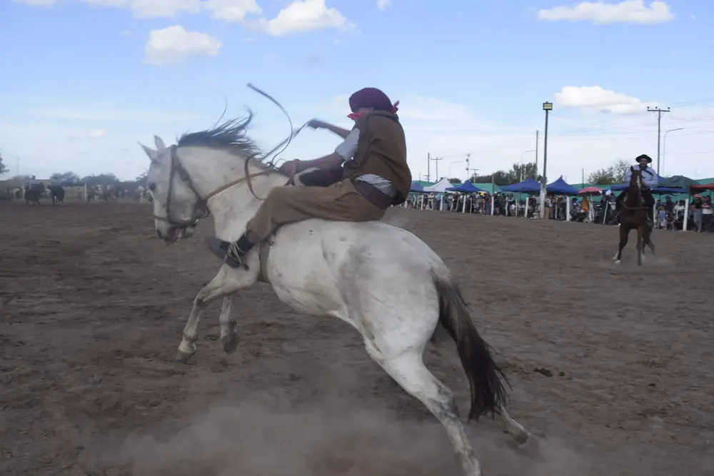 3d17867d-f3bc-4ead-a811-81075bcd4ed3 (1)