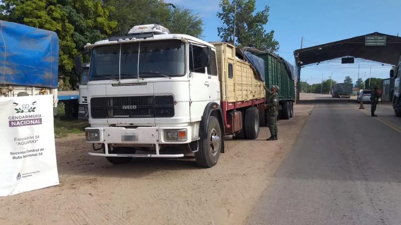 operativo-gendarmeria-nacional-20220404-1336635