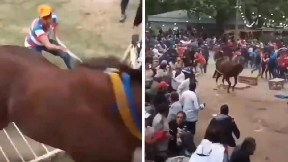 caballo_descontrolado