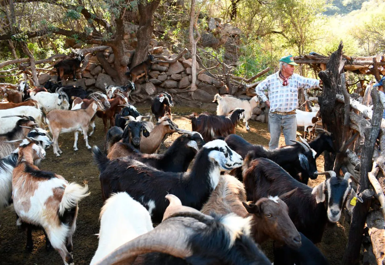 352530566_566614118993947_4653250471896692182_n