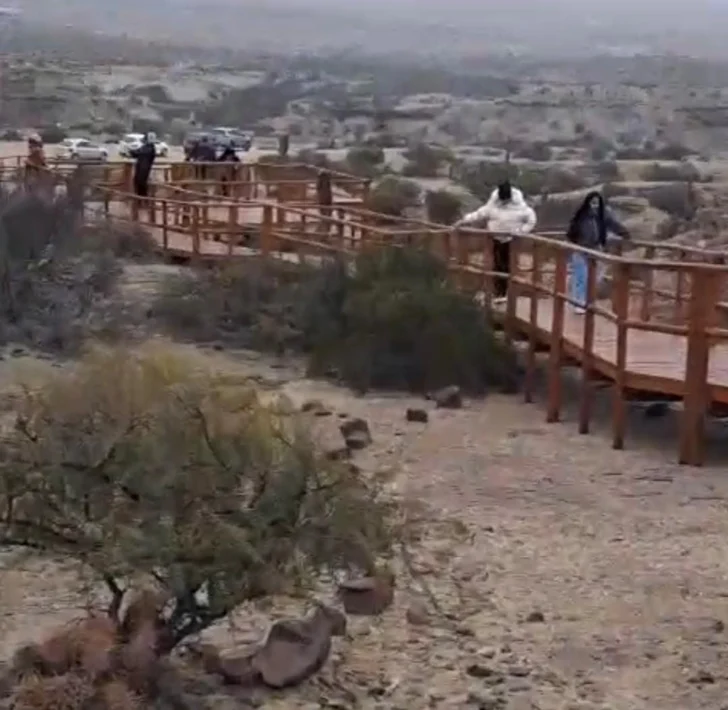 WhatsApp-Image-2025-06-29-at-17.12.00-728x710