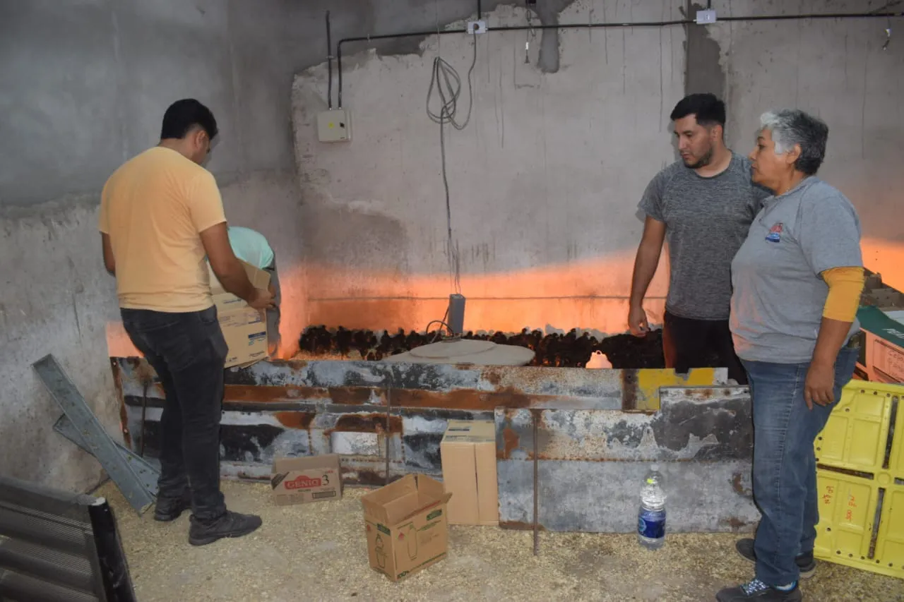 438102392_838387244982900_6145222766022325501_n