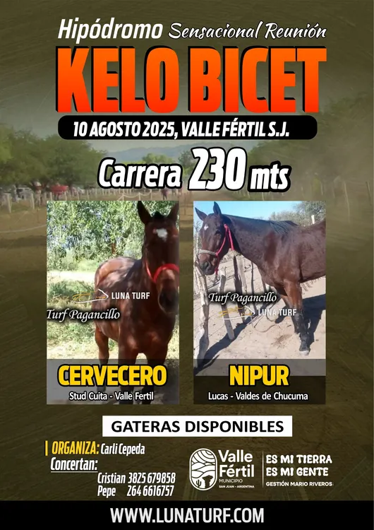 d2ec89c4-a608-473d-9d38-e2d786eee97d