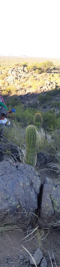 IMG-20210531-WA0047