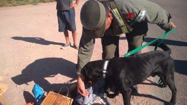 f608x342-529288_559011_0