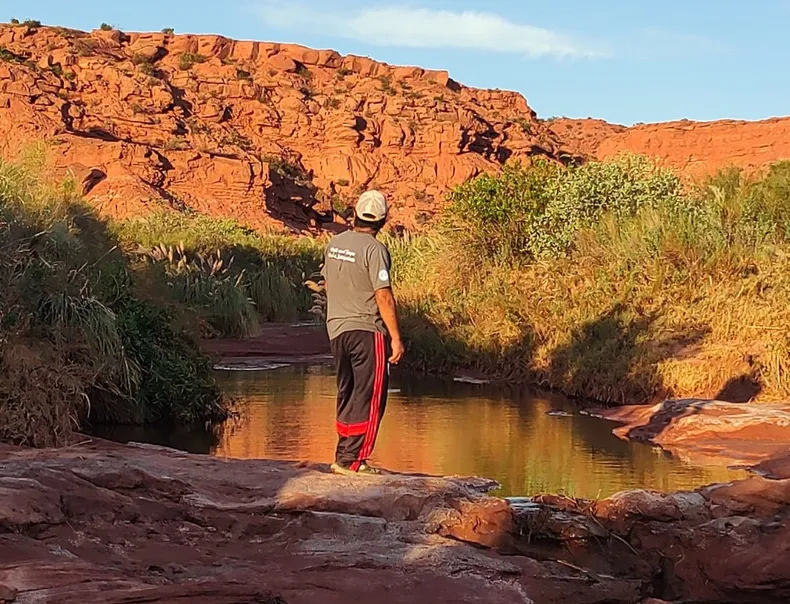 whatsapp-image-2025-03-14-at-004606-1jpeg