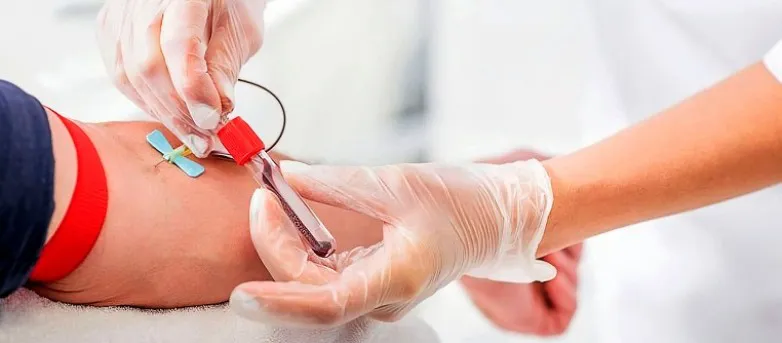 e2bbc5e4246472400e635b172da54425_L