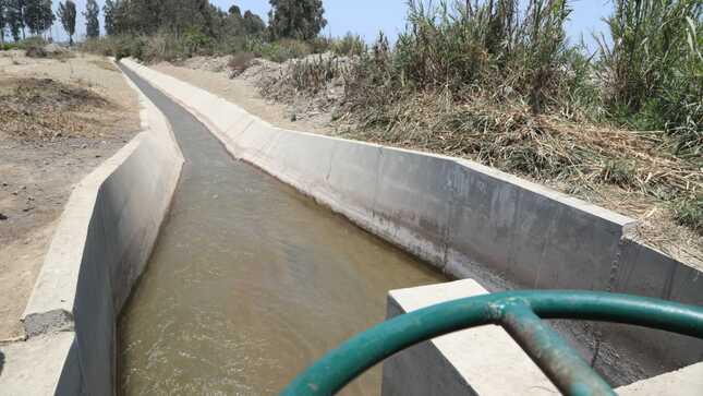 standard_ministroenica-canales03