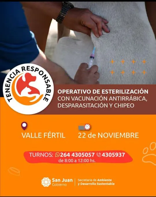 IMG-20241119-WA0066~2