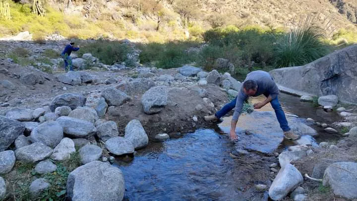 FB_IMG_1657034687069