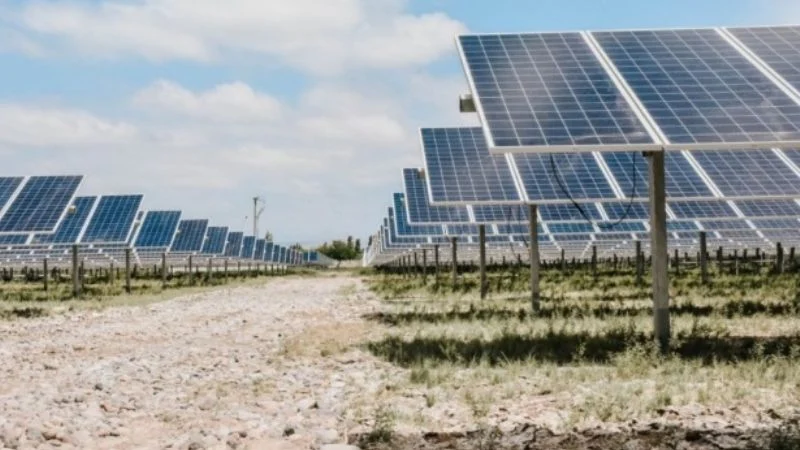 f800x450-398029_449475_5050