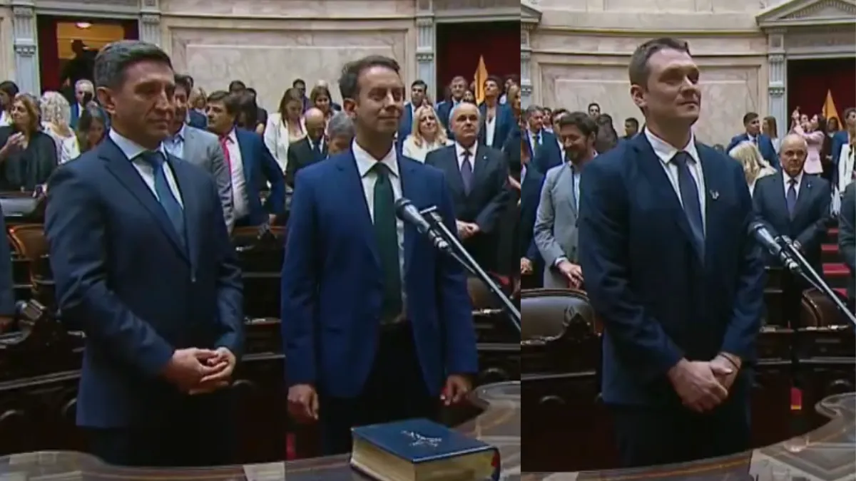 diputados-jura-andino-jaime-chiconi