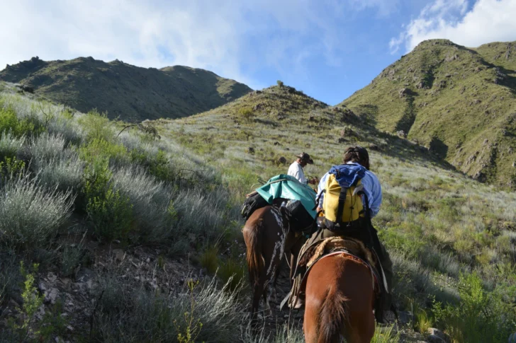 WhatsApp-Image-2025-09-03-at-15.47.03-2-728x485