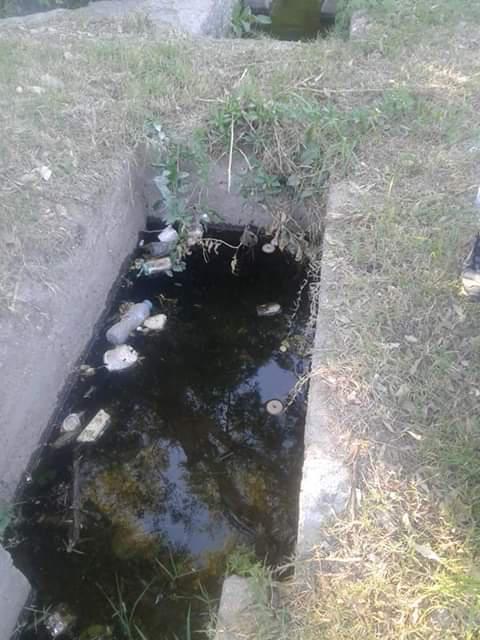 FB_IMG_1589821922596