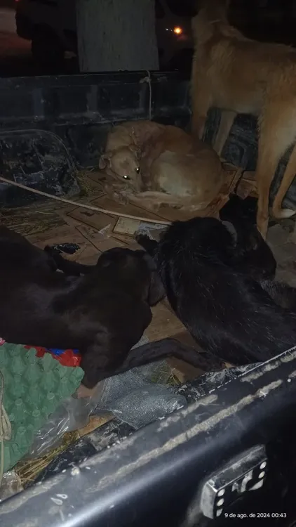 f768x1-382329_382456_5050