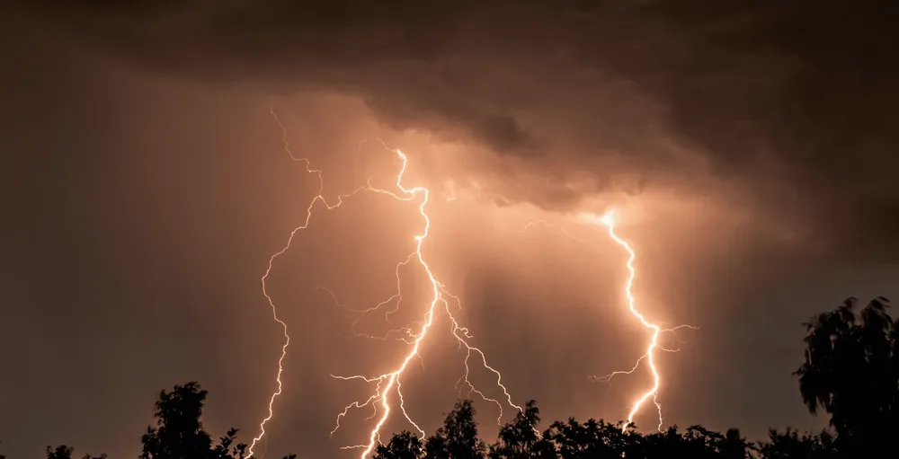 Shutterstock_2422367917