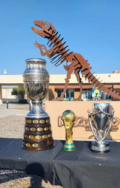 copas-futbol-ischigualasto-2-466x728