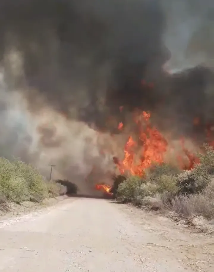 Screenshot_20240920-124340~2