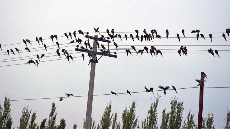 135494-1589454076-993-jpg.