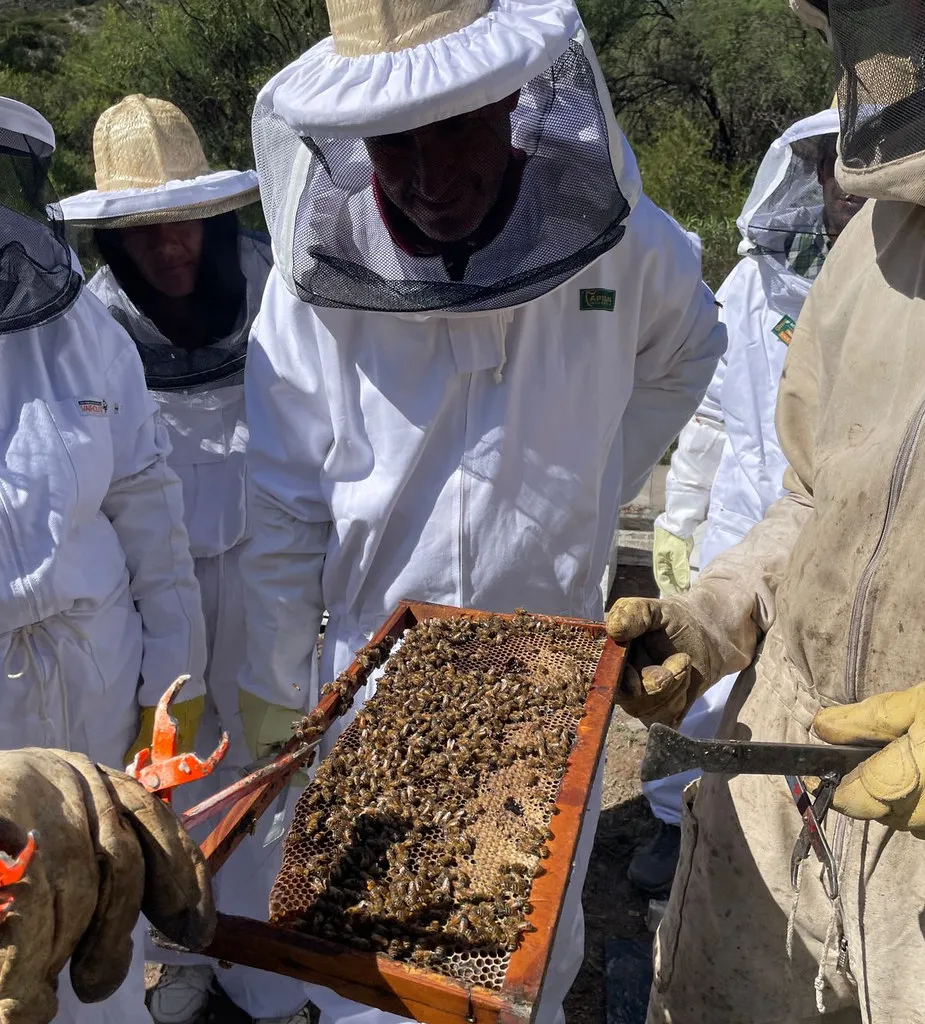 54180152722_6e81a4d86f_b