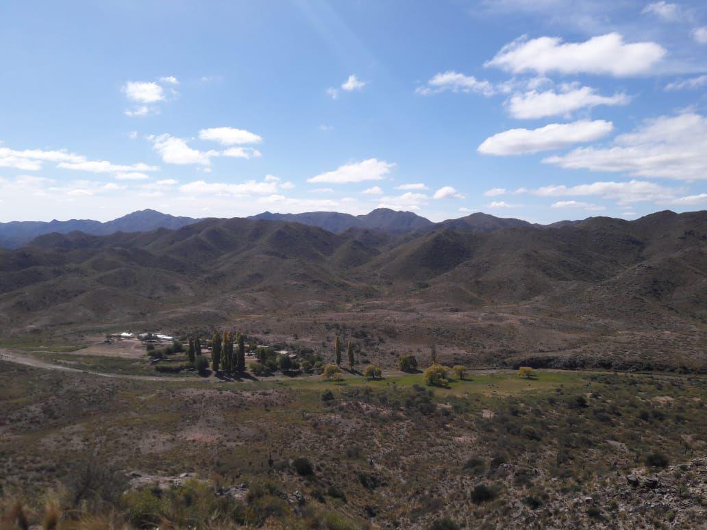 20200420071911ce0c5c04f6a44477edf007e3523a640b